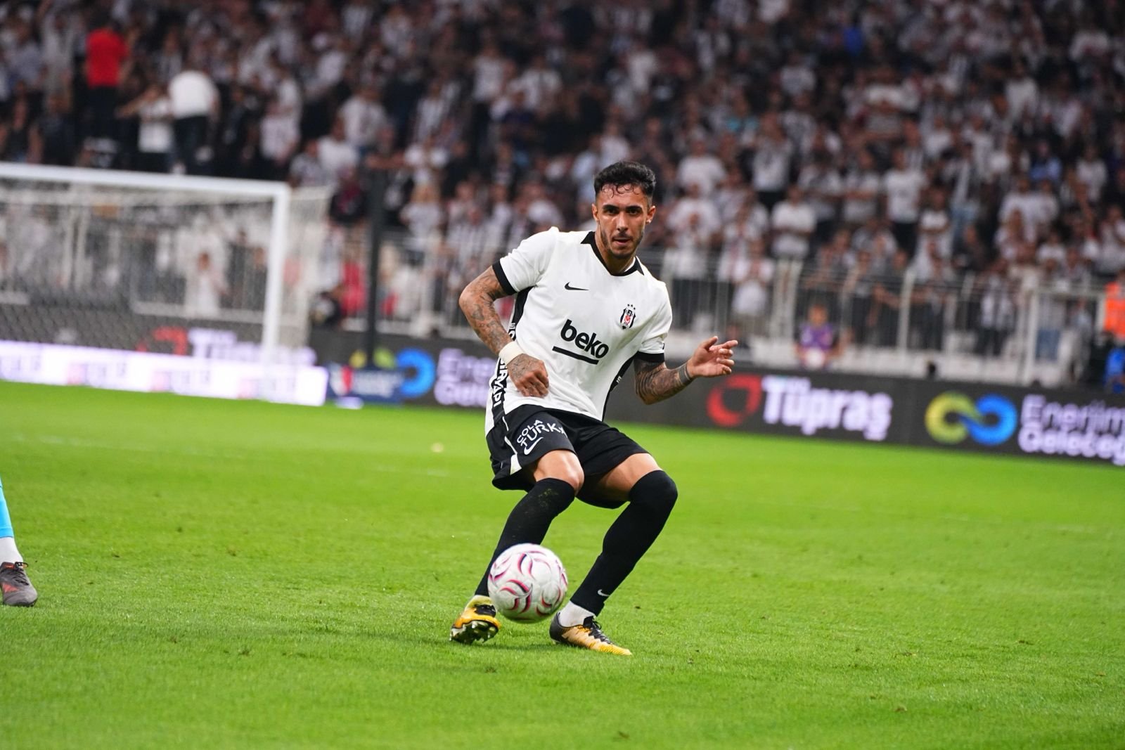 Beşiktaş- Erzurumspor FK Maçından Kareler