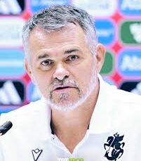 Willy Sagnol: Türkiye güçlü bir takım