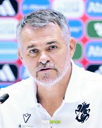 Willy Sagnol: Türkiye güçlü bir takım
